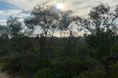 IMG-20260828-WA0022