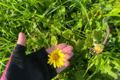 IMG-20260828-WA0047