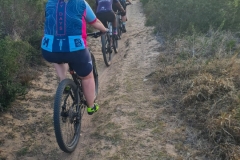 WhatsApp-Image-2026-01-13-at-20.19.42