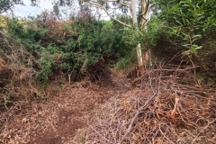 WhatsApp-Image-2026-02-03-at-20.29.57-2