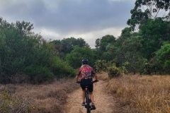 WhatsApp-Image-2026-02-03-at-20.29.57