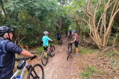 WhatsApp-Image-2026-02-03-at-20.29.58-1