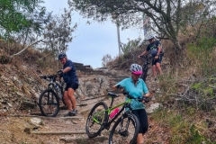 WhatsApp-Image-2026-02-03-at-20.29.59-1