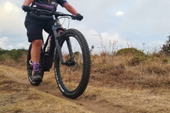 WhatsApp-Image-2026-02-03-at-20.30.01