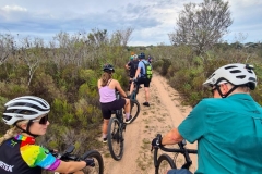 WhatsApp-Image-2026-02-10-at-20.33.27-1