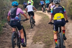 WhatsApp-Image-2026-02-10-at-20.33.28