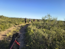 IMG_20250116_174903860_HDR