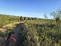 IMG_20250116_174906746_HDR