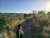 IMG_20250116_182152711_HDR