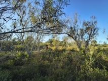 IMG_20250116_182221957_HDR