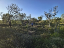 IMG_20250116_182226354_HDR