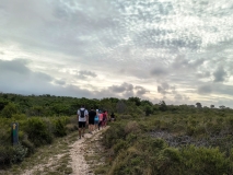 IMG_20250123_181250238_HDR-EDIT