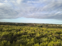 IMG_20250213_182027541_HDR