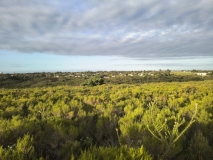 IMG_20250213_182031948_HDR