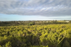 IMG_20250213_182031948_HDR