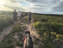 IMG_20250213_182055050_HDR