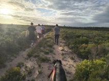 IMG_20250213_182057073_HDR