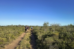 IMG_20250116_174840030_HDR