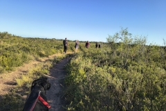 IMG_20250116_174903860_HDR