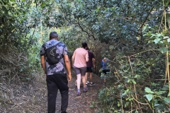 IMG_20250116_180144609_HDR