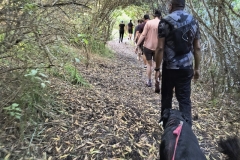 IMG_20250116_180156522_HDR