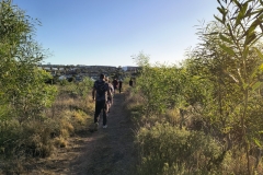 IMG_20250116_182137736_HDR