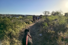 IMG_20250116_182152711_HDR