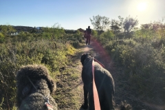 IMG_20250116_182157016_HDR