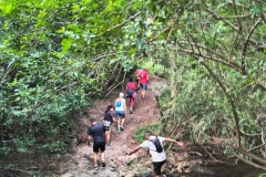 IMG_20250123_175138437_HDR