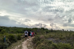 IMG_20250123_181250238_HDR-EDIT