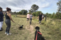 IMG_20250213_174957820_HDR