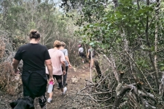 IMG_20250213_175907382_HDR