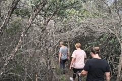 IMG_20250213_175915846_HDR