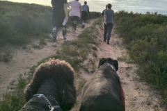 IMG_20250213_181742420_HDR