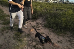 IMG_20250213_181750452_HDR