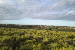 IMG_20250213_182027541_HDR