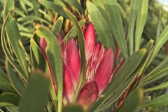IMG_20250213_182507559_HDR
