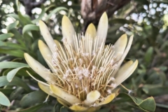 IMG_20250213_182538242_HDR