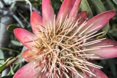 IMG_20250213_182551210_HDR