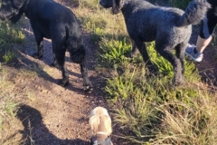 WhatsApp-Image-2025-01-16-at-18.55.29_075cf963